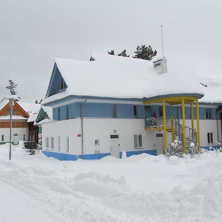 Apartman Riviera Apartment Lipno nad Vltavou Bagian luar foto