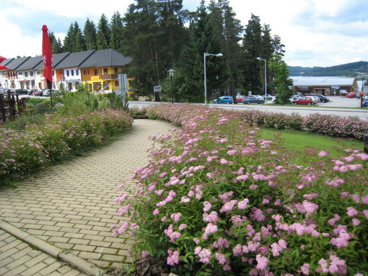 Apartman Riviera Apartment Lipno nad Vltavou Bagian luar foto