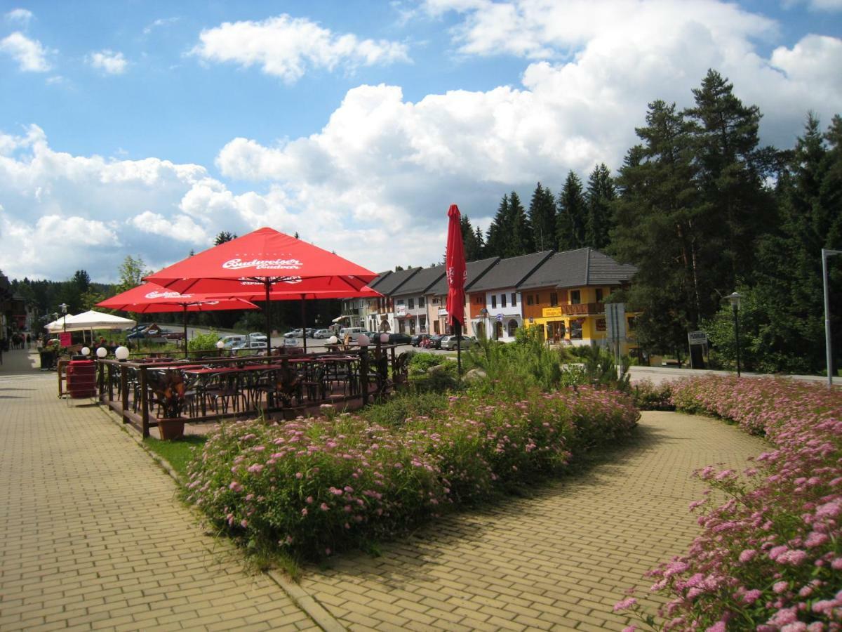 Apartman Riviera Apartment Lipno nad Vltavou Bagian luar foto