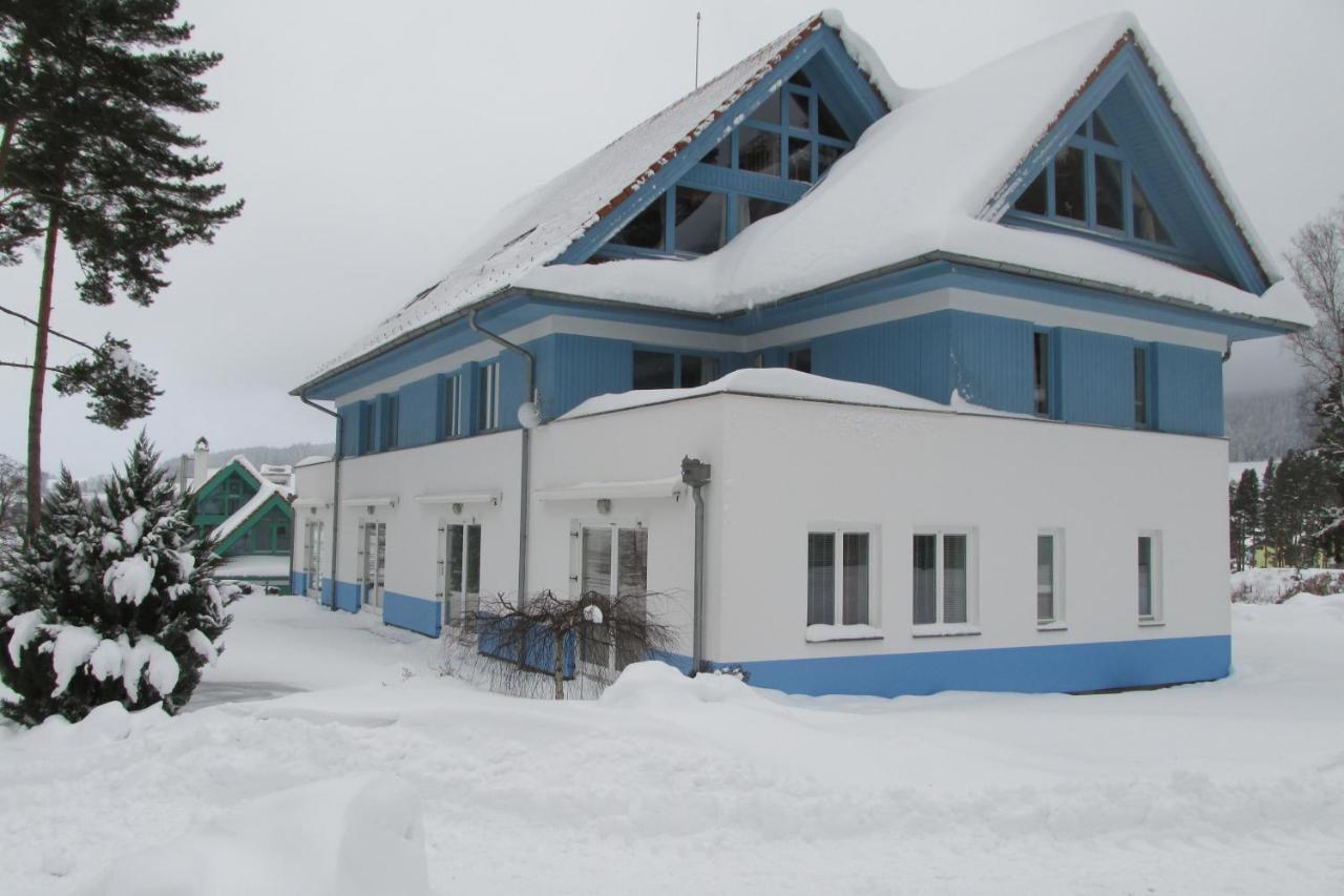 Apartman Riviera Apartment Lipno nad Vltavou Bagian luar foto